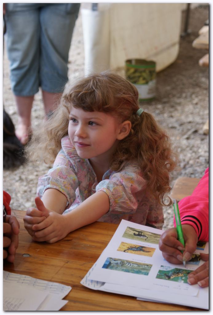 669x999 pixels (83K)