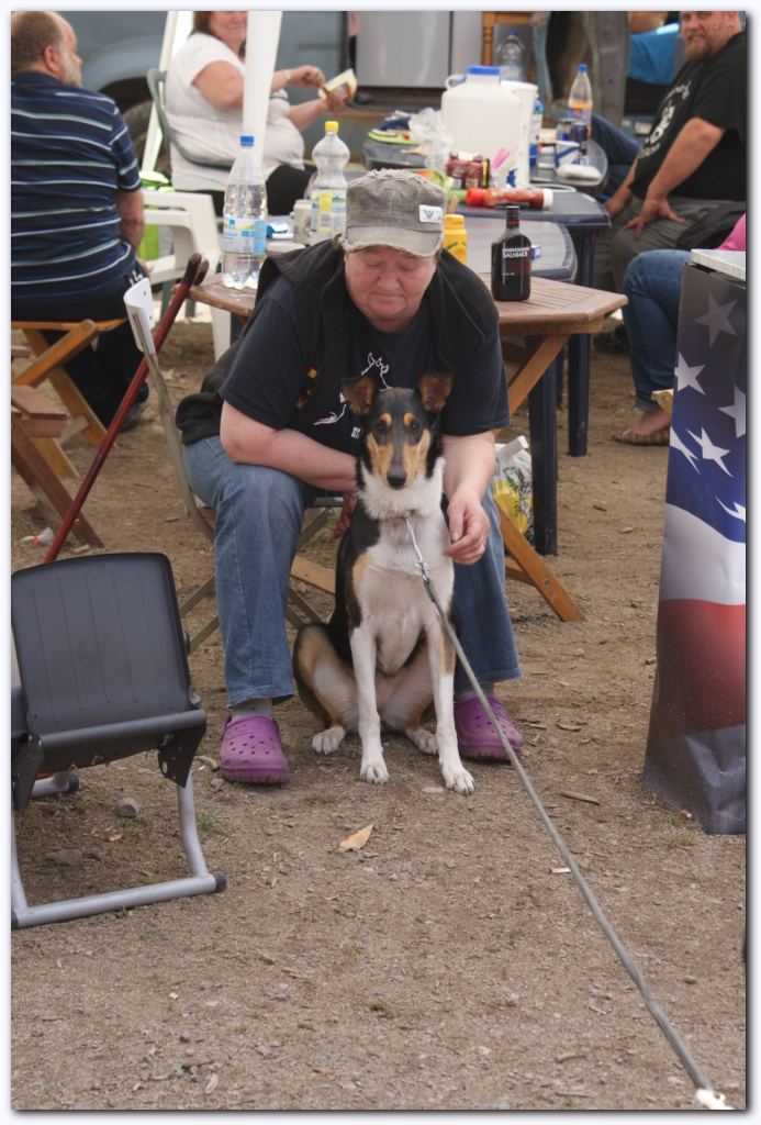 669x999 pixels (125K)